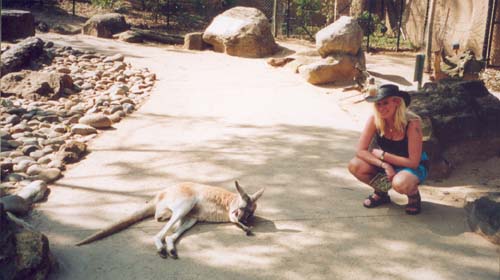 australien33