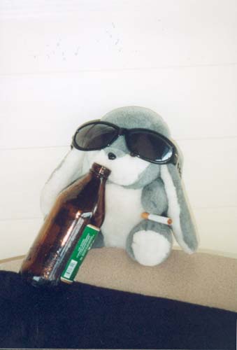 australien41