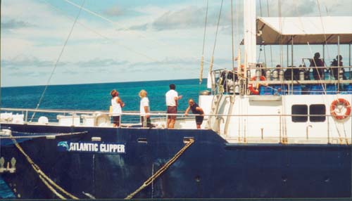 australien95