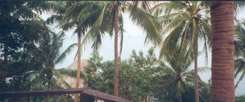 thailand61