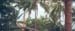 thailand61