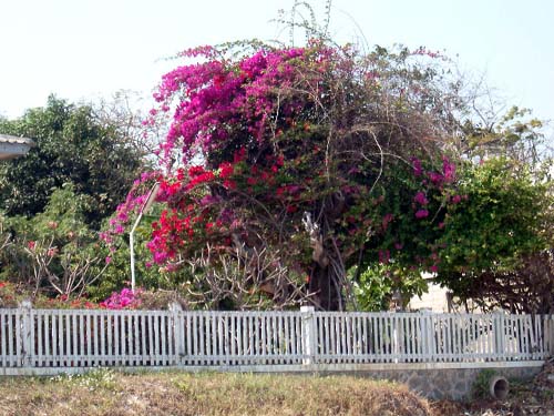thailand1