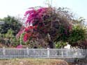 thailand1
