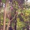thailand45