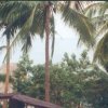 thailand61